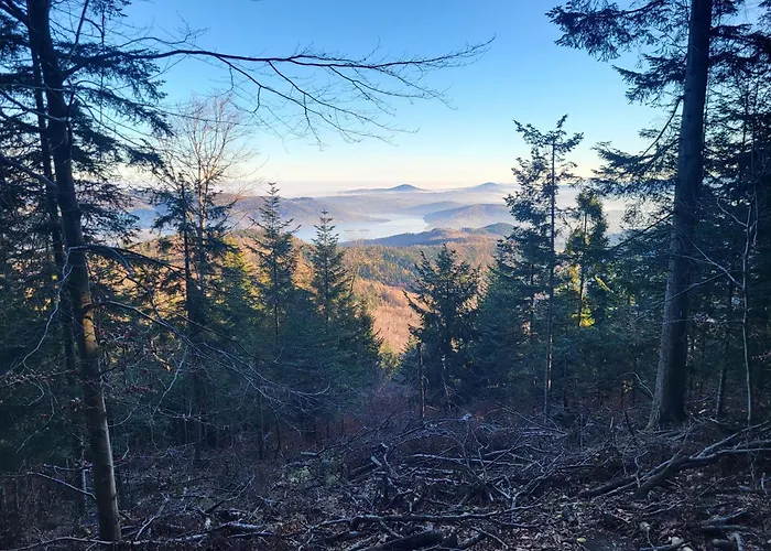 Σπίτι διακοπών Jaszczurowka Pod Leskowcem Jaszczurowa